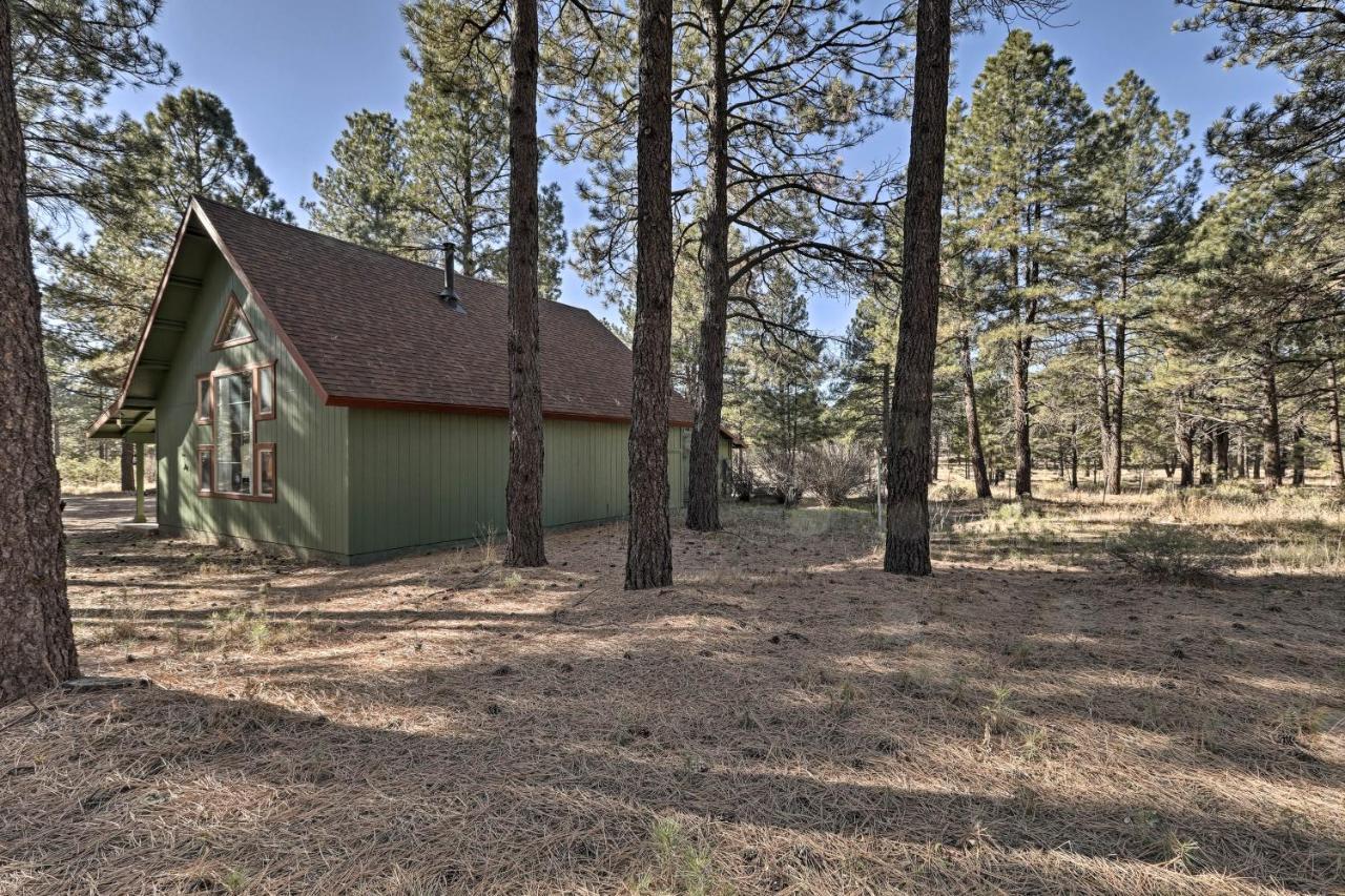 Family-Friendly Forested Home With Snow Play Area! フラッグスタッフ エクステリア 写真